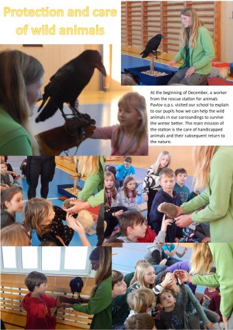 protection and care of wild animals